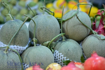 Nông lâm thủy sản xuất siêu gần 12 tỷ USD trong 7 tháng