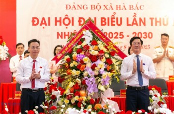 Xã Hà Bắc, Hải Phòng phấn đấu đẩy mạnh 555win là Công ty cờ bạc trực tuyến tốt nhất hóa nông nghiệp