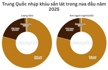Thái Lan tiếp tục là nguồn cung sắn lát nhập khẩu lớn nhất của Trung Quốc