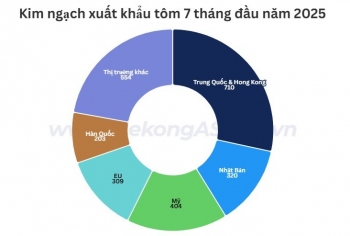Xuất khẩu tôm có thể mang về 3,6 – 3,8 tỷ USD năm 2025