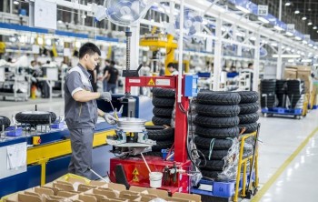 Nghiên cứu thành lập Quỹ phát triển 555Win login đăng nhập tư nhân