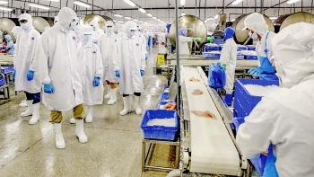 Vĩnh Hoàn: Xuất khẩu tăng giảm trái chiều giữa các thị trường lớn