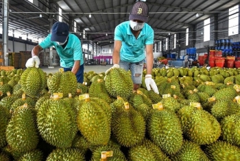 HAG thoát diện cảnh báo, con trai bầu Đức muốn nâng sở hữu lên gần 5%