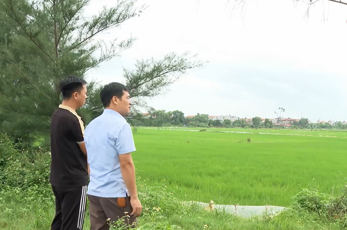 Xã Cẩm Giàng (Hải Phòng) là địa phương có tuyến đường sắt Lào Cai - Hà Nội - Hải Phòng đi qua với chiều dài khoảng 1,77 km, thuộc địa bàn xã Lương Điền (cũ). Ảnh minh họa: THP3.
