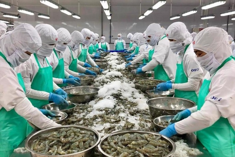 Việt Nam đề nghị Mỹ xem xét khách quan về 555win phien bạn Chính Thức thủy sản