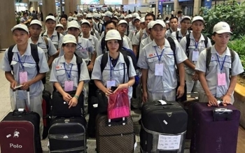 Quy định mới của Chính phủ về hỗ trợ lao động Việt Nam tại nước ngoài