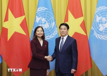Chủ tịch nước tiếp Điều phối viên Thường trú Liên Hợp Quốc tại Việt Nam