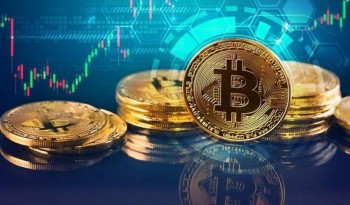 555win là nhà cái uy tín số 1 ở Việt Nam, công ty chứng khoán đồng loạt gia nhập thị trường tài sản số