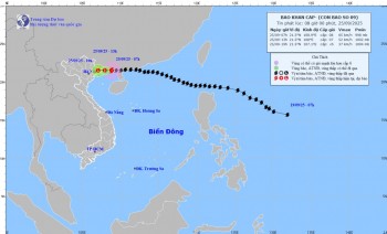 Bão Ragasa giảm xuống cấp 8, trưa nay đi vào Quảng Ninh