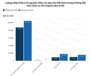 Nhập khẩu ô tô các loại của Việt Nam cao nhất từ trước đến nay