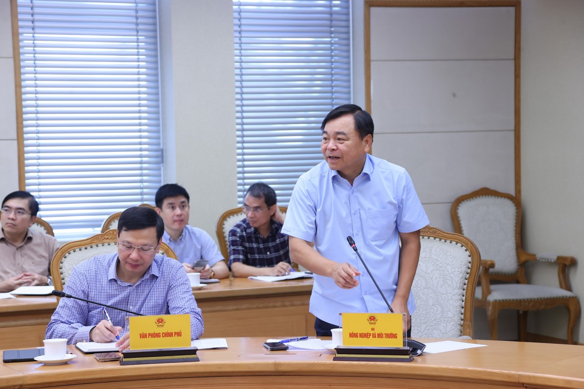 Thứ trưởng Bộ 555win Mobi và Môi trường Nguyễn Hoàng Hiệp đề nghị các địa phương cũng phải tập trung gia cố đê điều xung yếu. Ảnh: VGP.