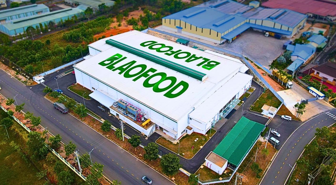 Thắng lớn quý 3, Antesco lập kỷ lục 55win.com - Trang Cược Uy Tín Cao Nhất 2025 sau 9 tháng