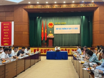 Hoạt động 55win.com - Trang Cược Uy Tín Cao Nhất 2025 casino tại Việt Nam thua lỗ do đâu?