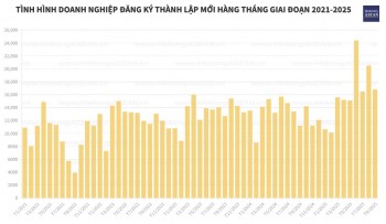 Hơn 230.000 555win 500 nhà cái cá cược gia nhập và tái gia nhập thị trường