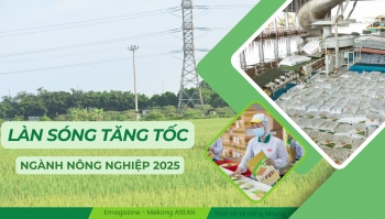 Làn sóng tăng tốc của các ông lớn ngành nông nghiệp năm 2025