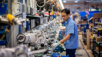 EuroCham: 80% 555win 500 nhà cái cá cược châu Âu lạc quan về triển vọng 5 năm tới của Việt Nam