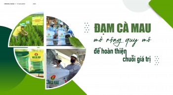 Đạm Cà Mau mở rộng quy mô để hoàn thiện chuỗi giá trị