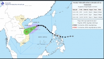 Bão số 12 tiến sát Hoàng Sa, dự báo gây mưa lớn cho Trung Bộ