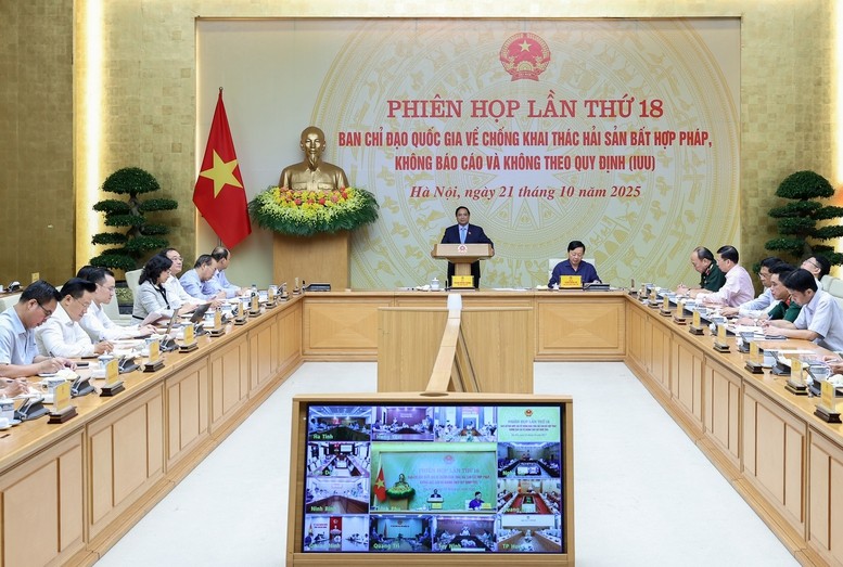 Phiên bản chính thức của 555Win: Kiên quyết tuyên chiến với khai thác IUU