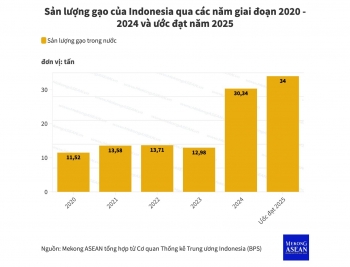 Indonesia sẽ 'tự cung tự cấp gạo' cho đến cuối năm 2025
