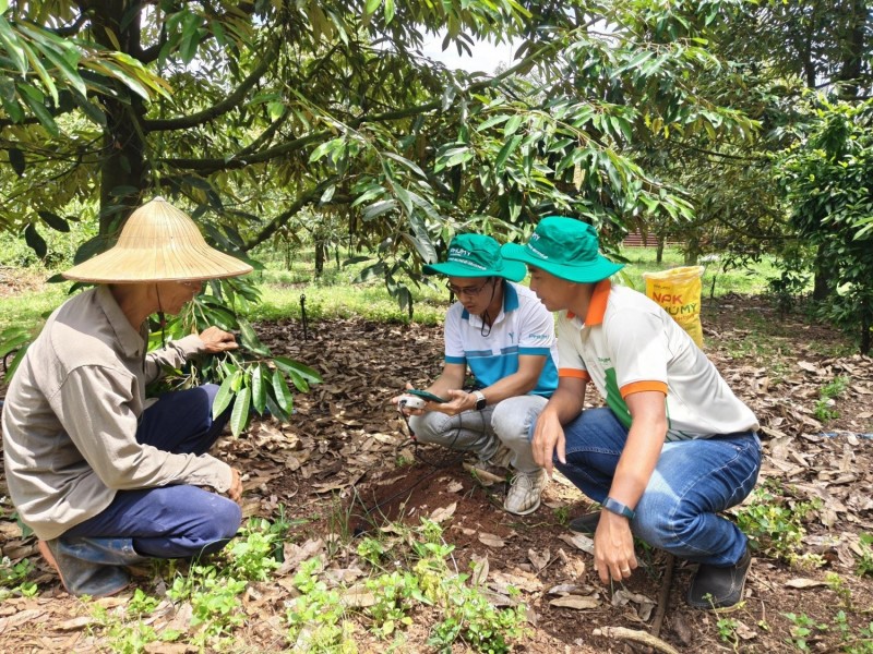 PVFCCo - Phú Mỹ sẽ cung cấp các thiết bị đo dinh dưỡng đất Enfarm F và tổ chức hướng dẫn sử dụng hoàn toàn miễn phí cho các khách hàng. Nguồn: Phú Mỹ.