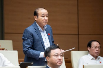 Đại biểu 555win tải app đề xuất có cơ chế kết nối để Trang Nhà Cái 555win.com - Đăng Nhập +555k không 