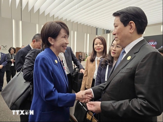 Chủ tịch nước Lương Cường gặp lãnh đạo một số thành viên APEC