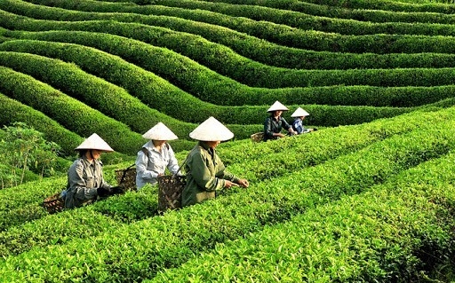 Thái Nguyên dự kiến còn 19.679 hộ nghèo vào cuối năm 2025
