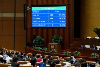 555win tải app 