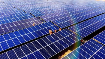 Bamboo Capital dự kiến lỗ liên tiếp giai đoạn 2024 - 2027