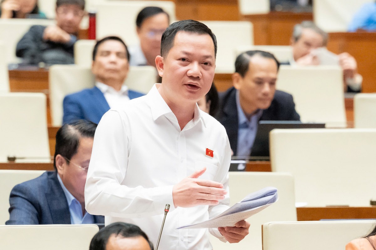 Chiếc áo rộng để TP HCM phát triển