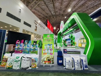 Hoá chất Đức Giang tạm ứng cổ tức tiền mặt tỷ lệ 30%