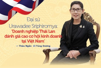 Trang Nhà Cái 555win.com - Đăng Nhập +555k Thái Lan đánh giá cao cơ hội 55win.com - Trang Cược Uy Tín Cao Nhất 2025 tại Việt Nam