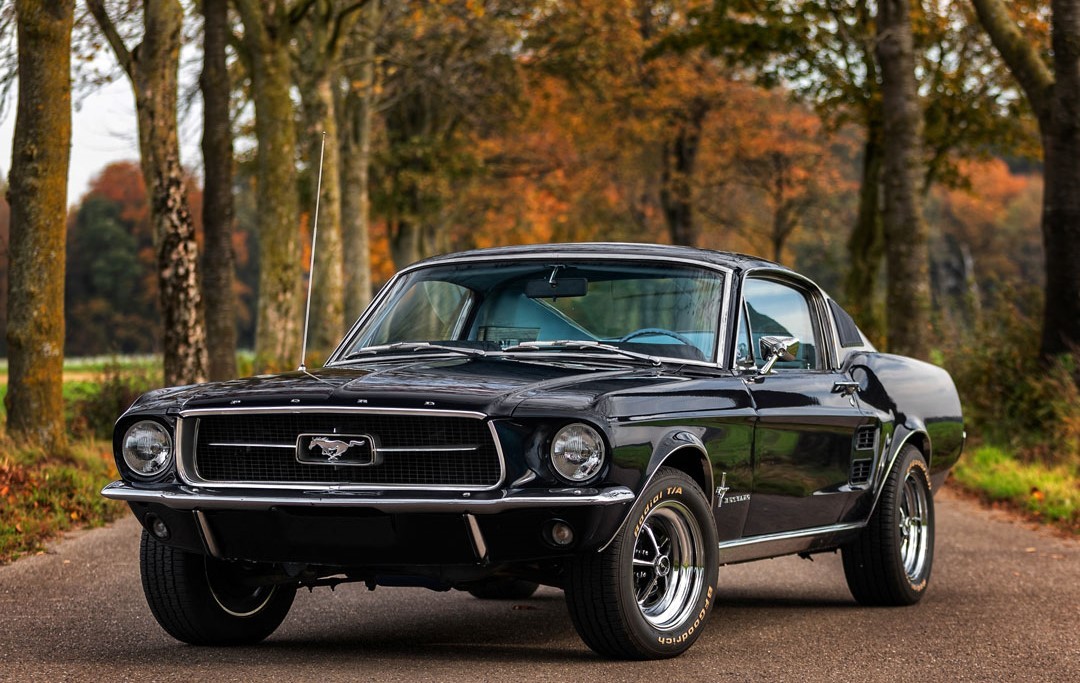 Logo con ngựa của dòng xe Ford Mustang. Ảnh: X/@FordMustang