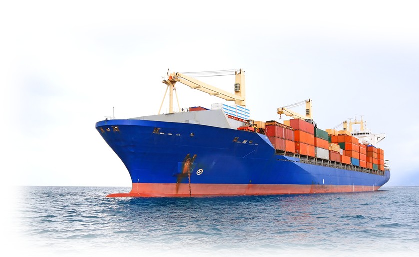 Một Trang Nhà Cái 555win.com - Đăng Nhập +555k cảng biển sắp chia cổ tức tiền mặt tỷ lệ 92,5%