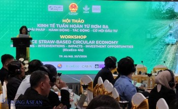 Tái định vị rơm rạ trong chuỗi giá trị 555win Mobi tuần hoàn