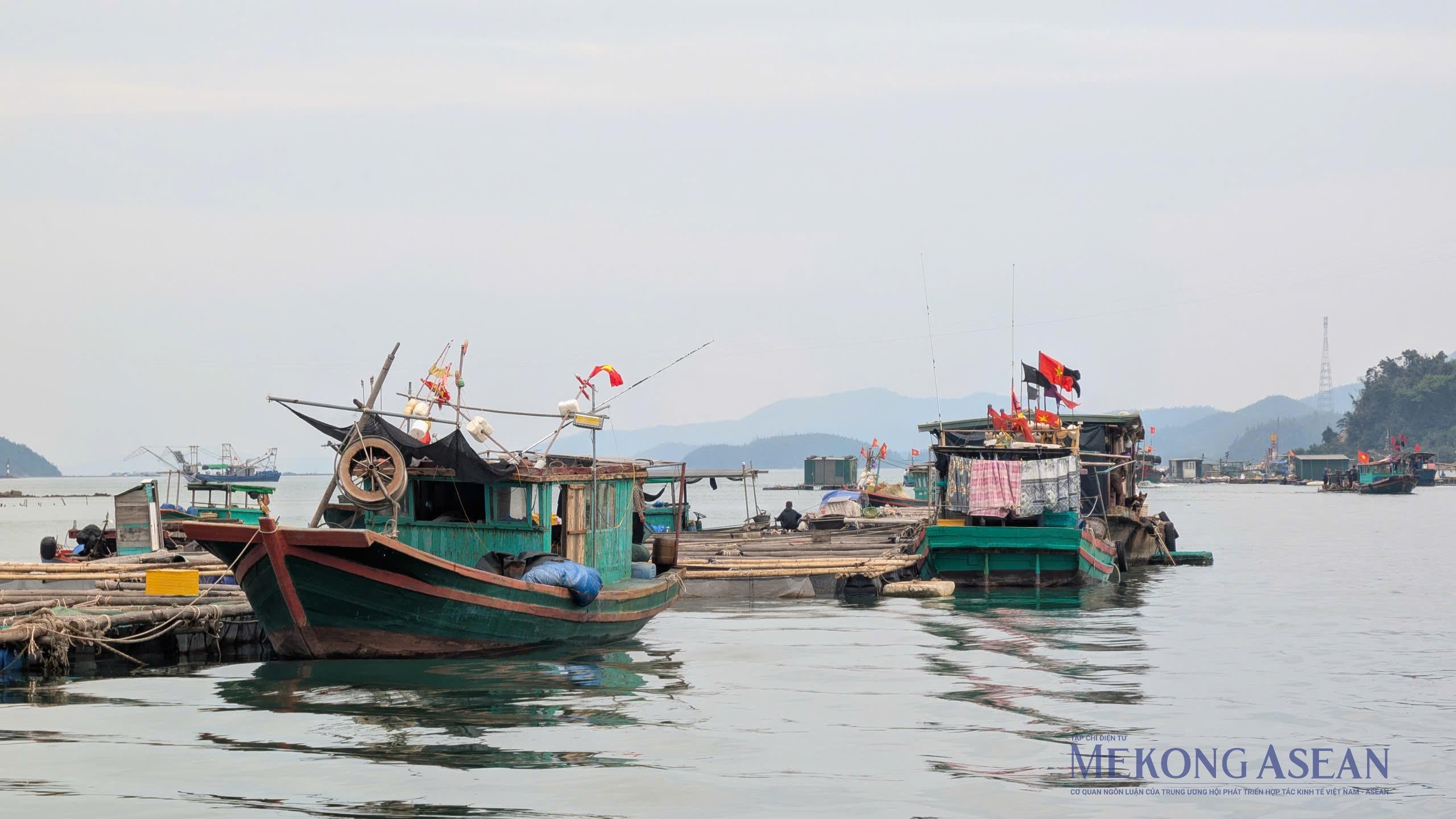 EC dự kiến kiểm tra IUU lần thứ 5 vào đầu tháng 3/2026