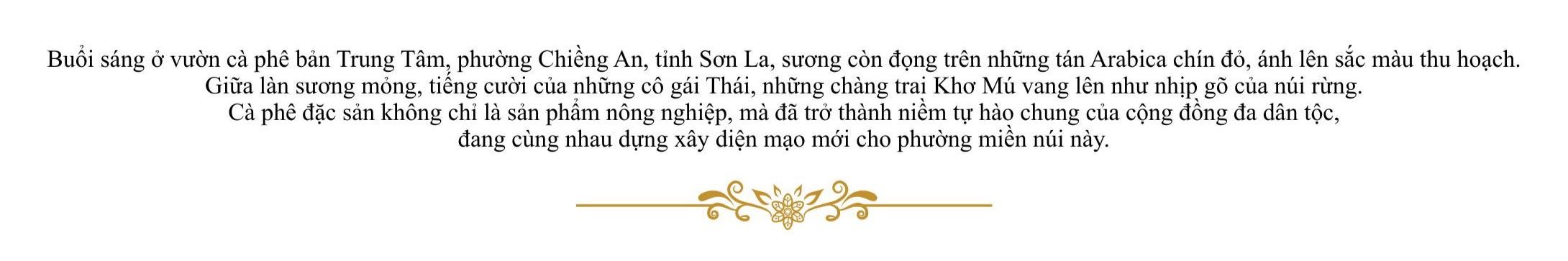 Chiềng An: Khát vọng xanh từ hạt cà phê Arabica chín đỏ