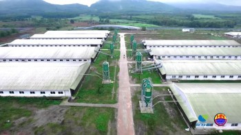 De Heus – Hùng Nhơn sẽ mở rộng đầu tư các dự án 555win Mobi tại Tây Ninh, Gia Lai