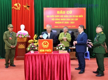 Cử tri cả nước nô nức tham gia 