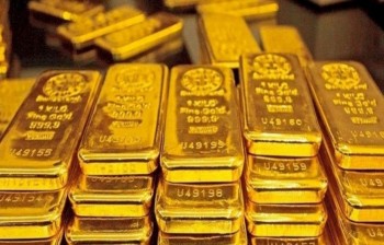 Vinhomes khởi động chương trình chuyển hóa nguồn lực vàng vào nền 555Win login đăng nhập