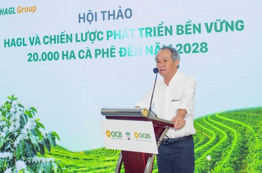 hoang anh gia lai tham vong lai ky luc chia co tuc sau hon 10 nam