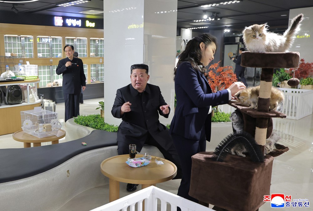 Kim Ju Ae vuốt ve những chú mèo tại cửa hàng. Ảnh: KCNA