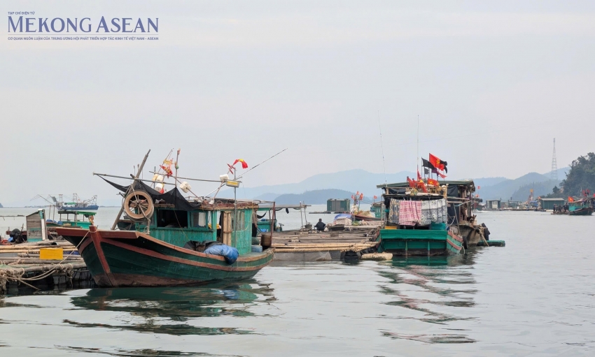 Khai thác thủy sản giảm, chăn nuôi tiếp tục tăng trưởng