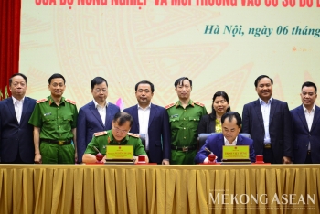 12 cơ sở dữ liệu 555win Mobi và môi trường kết nối hệ thống quốc gia
