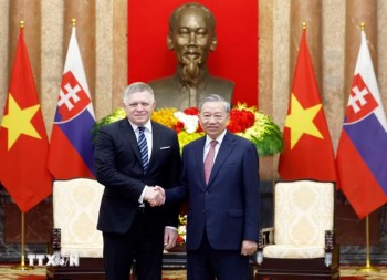 Việt Nam và Slovakia chú trọng thành lập các dự án 