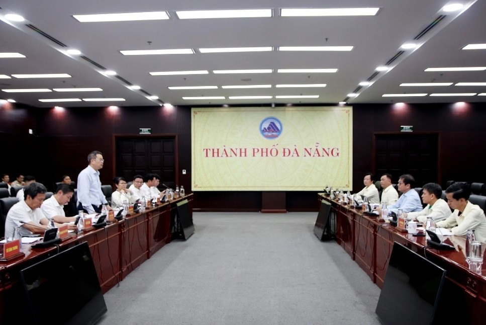 Thaco muốn đầu tư vùng trồng sâm Ngọc Linh và dược liệu quy mô lớn ở Đà Nẵng