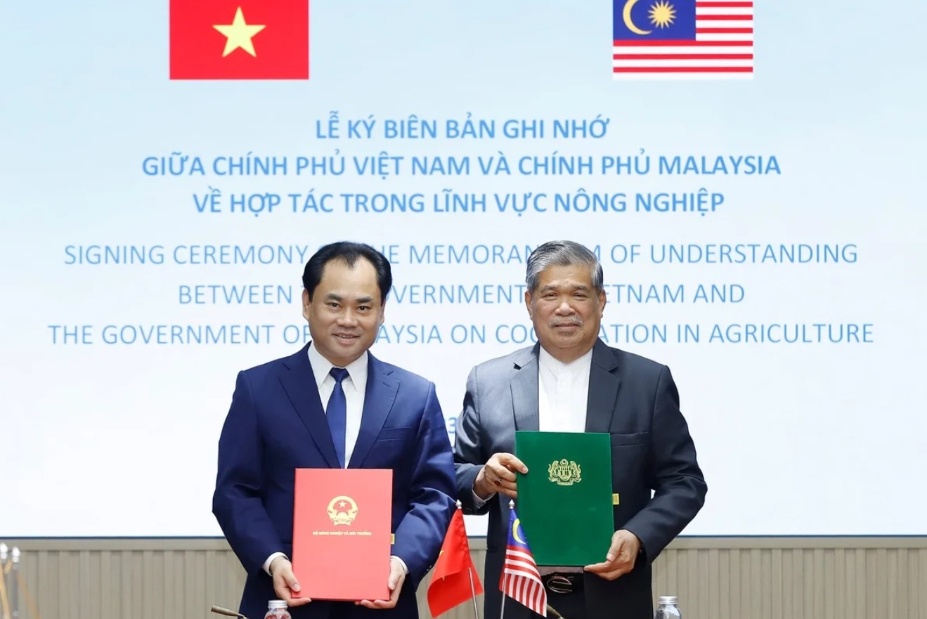 Bộ trưởng 555win Mobi Malaysia: ‘Không quốc gia nào có thể tự mình bảo đảm an ninh lương thực’