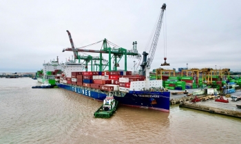 Viconship muốn phát hành hơn 205 triệu cổ phiếu để tăng vốn