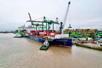 Viconship muốn phát hành hơn 205 triệu cổ phiếu để tăng vốn